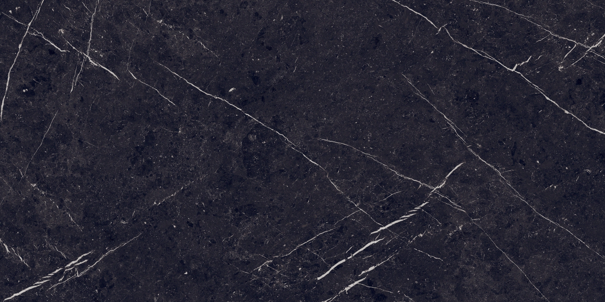 7930138702589 На пол Pietra Negro High Glossy 60x120 - фото 2
