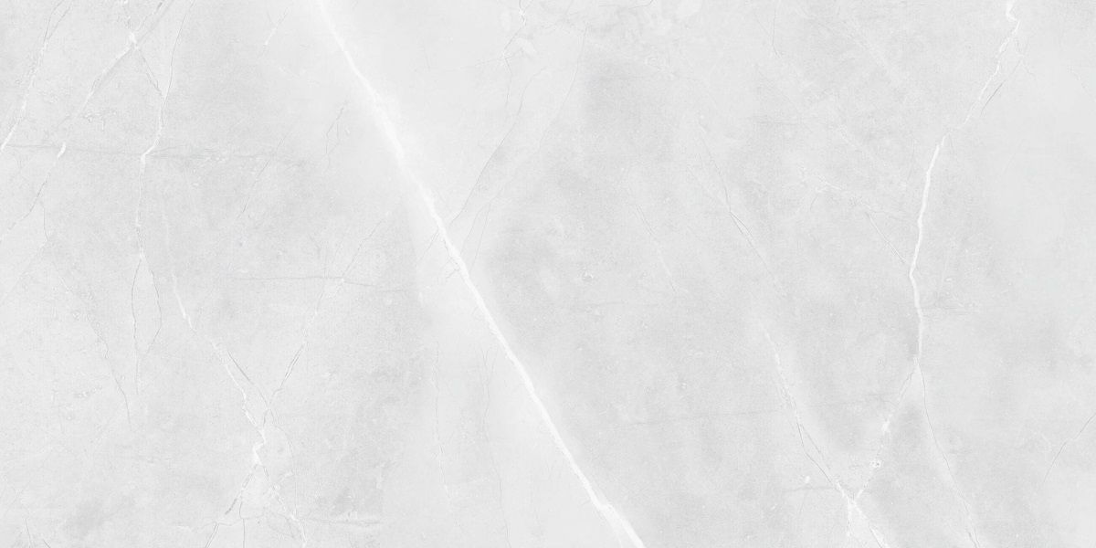 R_PR2015 На пол Floris Bianco Polished 60x120 - фото 3