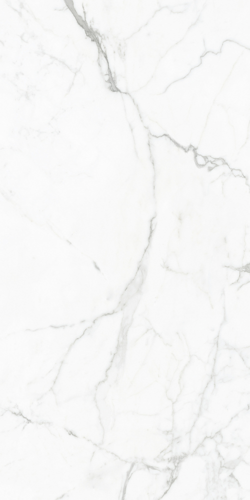 GT120604803PR На пол Elegant Statuario Белый PR 60x120 - фото 5