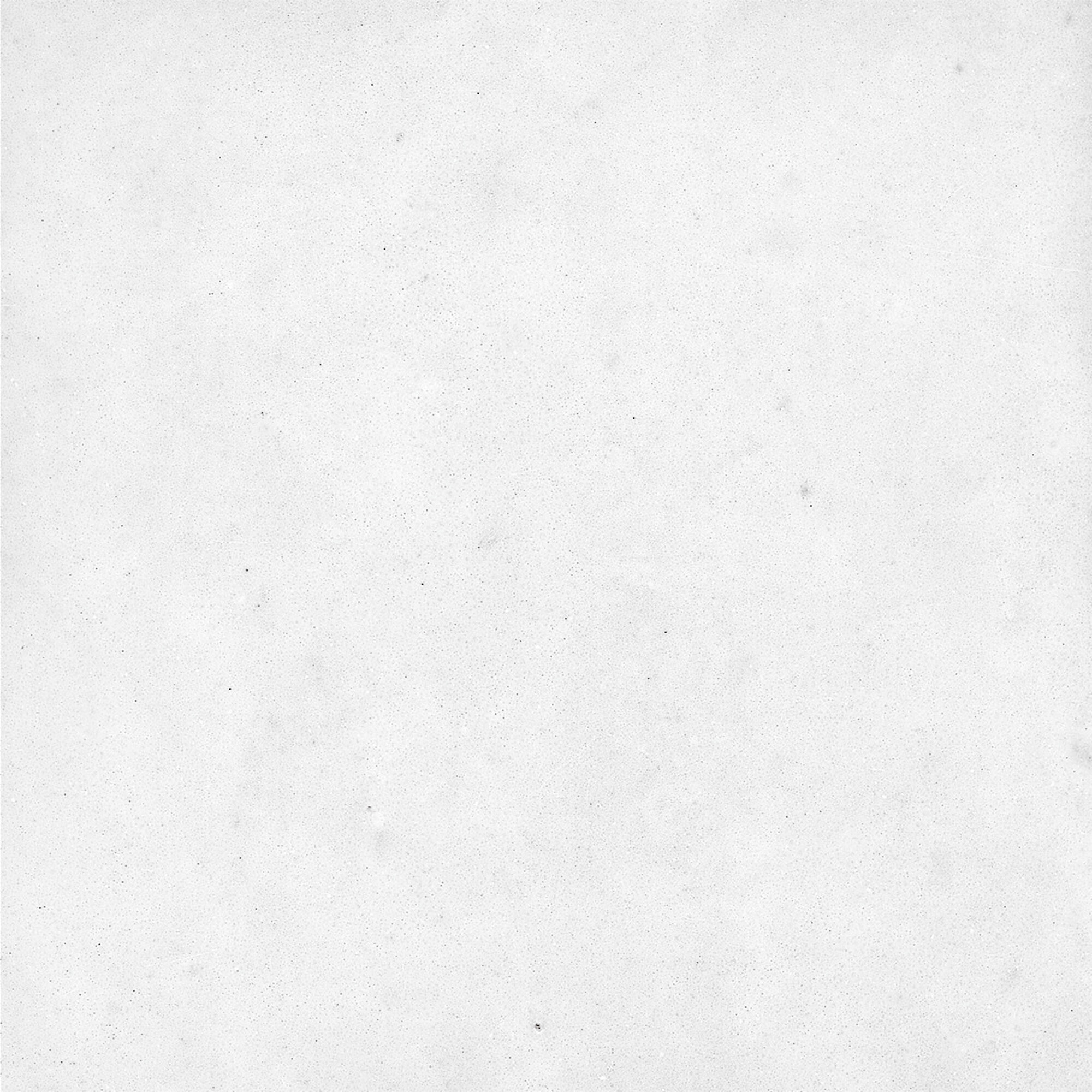 43294 На стену Samira White 10x10 - фото 15