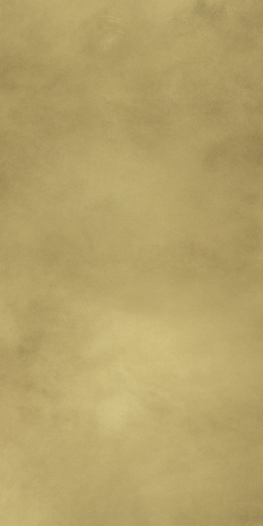 610015000645 На пол Continuum Brass Gold Lap 80x160 - фото 5