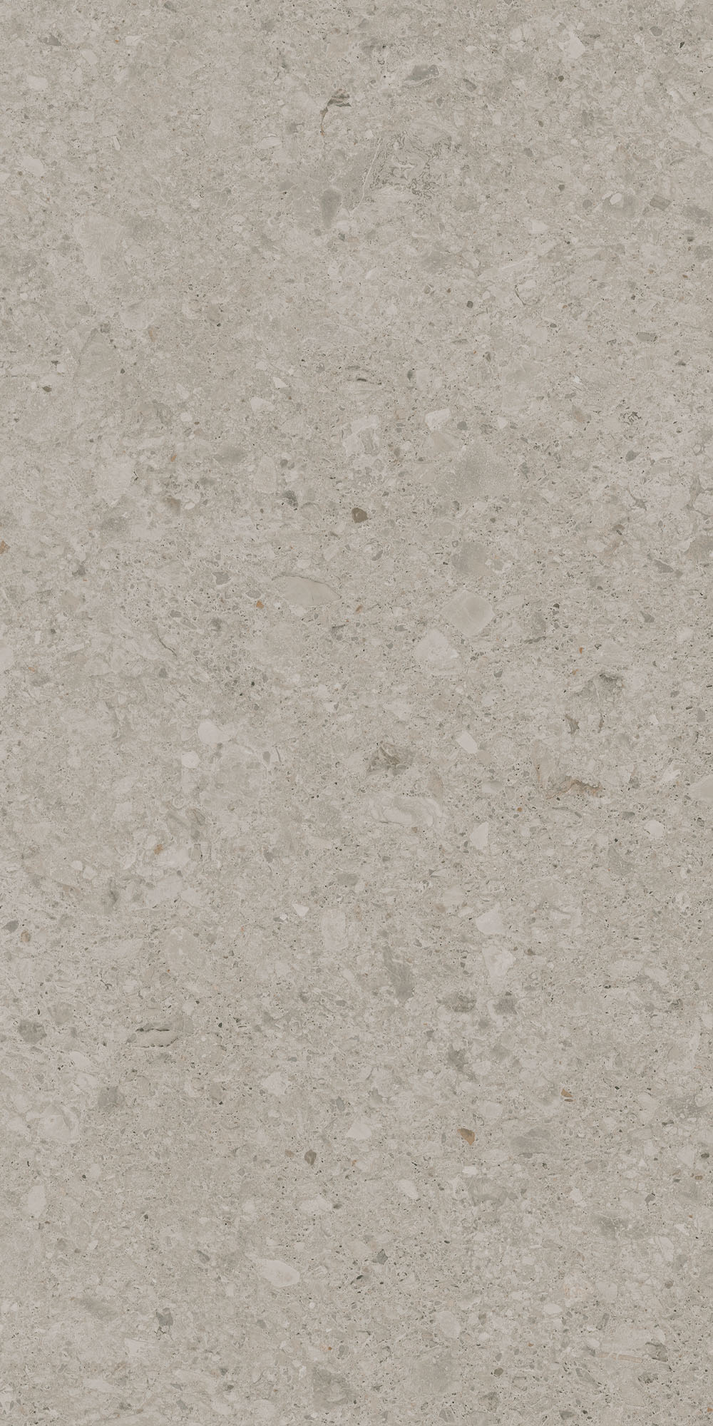 DD591300R На пол Чеппо ди Гре Бежевый светлый матовый обрезной 119.5x238.5x1.1 - фото 8