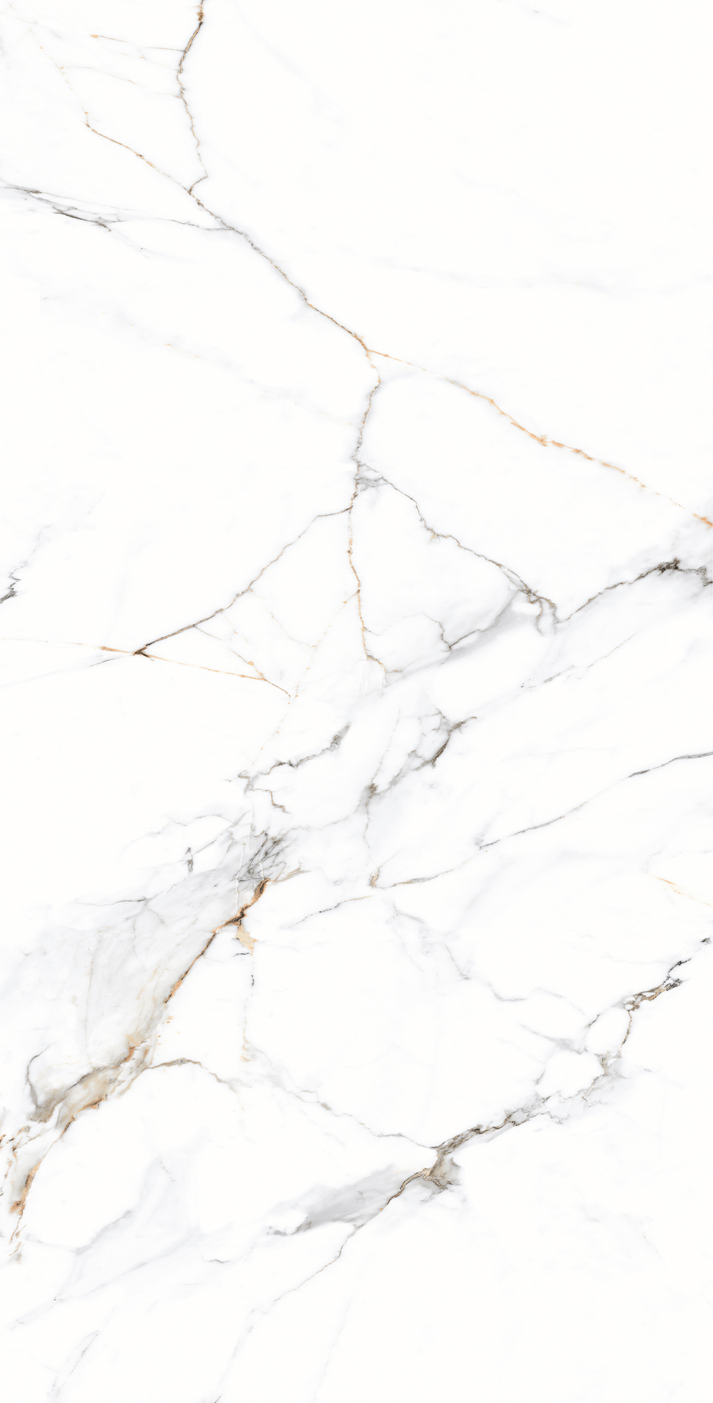 CZ-CR03-B На пол Galaxy Statuario Carving 80x160 - фото 3