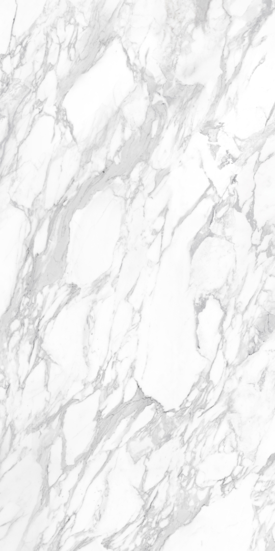 010400001373 На пол Platinum White PG 11 60х120 - фото 2