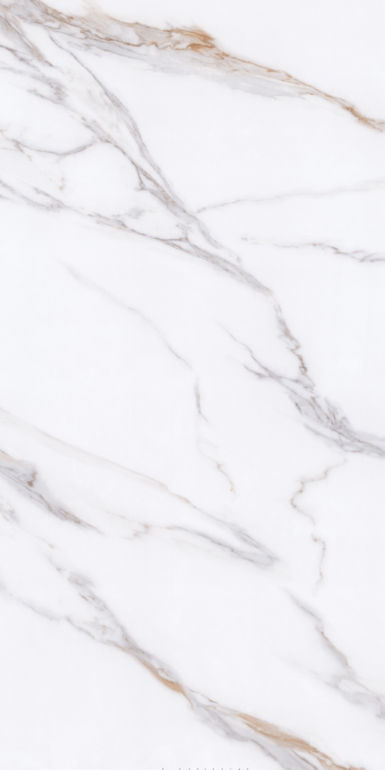 PT12P7059 На пол Bianco Pol 1200х600х9 - фото 2