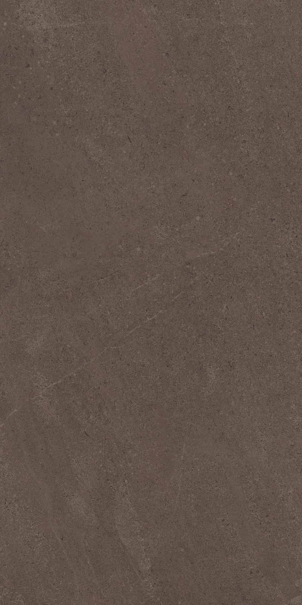 GO03/NS_R9/60x120x10R/GC На пол Gobi GO03 Brown Grey неполированный 60x120 - фото 4