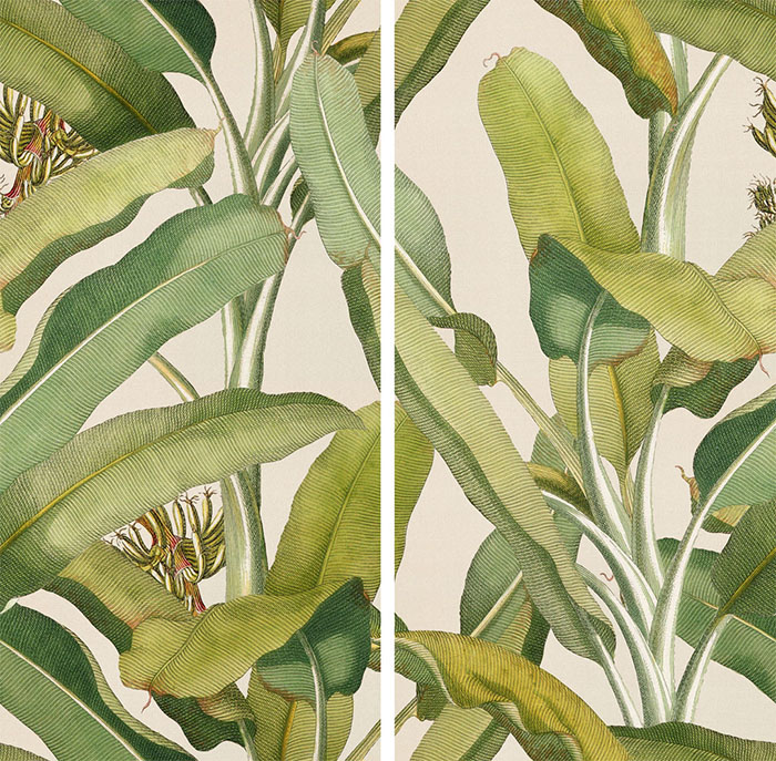 4100336 На стену Paper41 Pro Musa (2 mix)