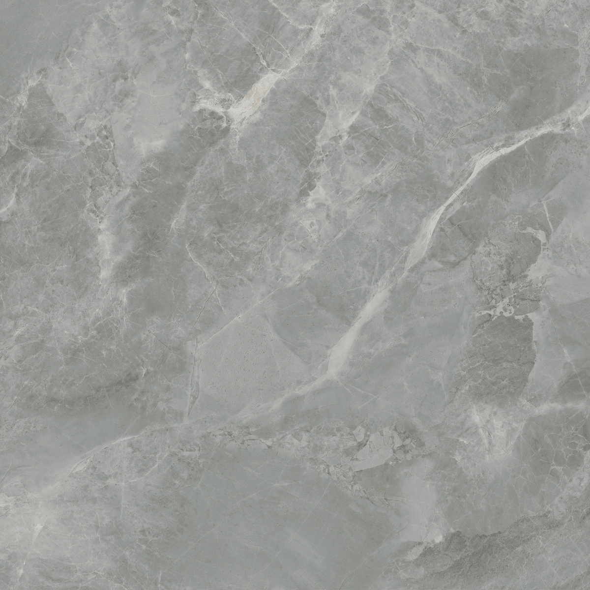 CR6060G0401R На пол Regnum Grigio серый матовый 59.5х59.5 - фото 12