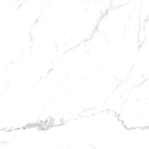 ST0H00M01 На пол Statuario White White 60х60