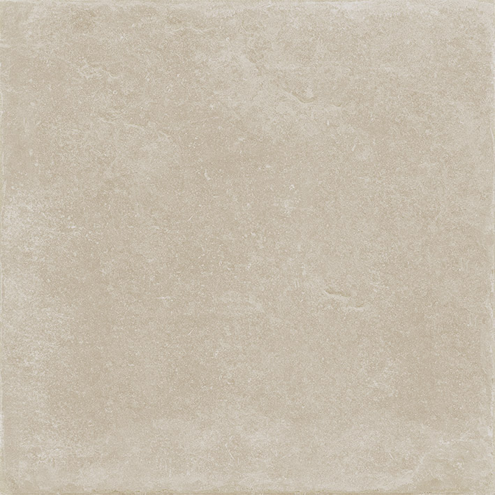 V91028731 На пол Verbier Silver 100x100