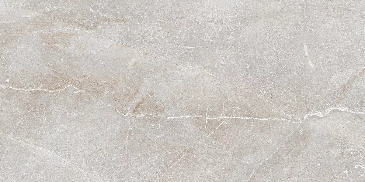 На пол Stonico Oyster Grey Glossy 60x120 - фото 6