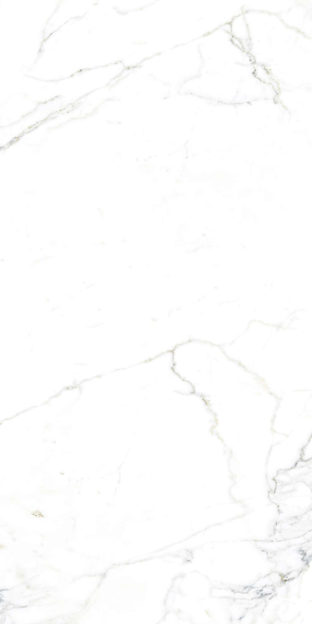 FP1002-A На пол Luce Statuario Full Polished 60x120 - фото 2