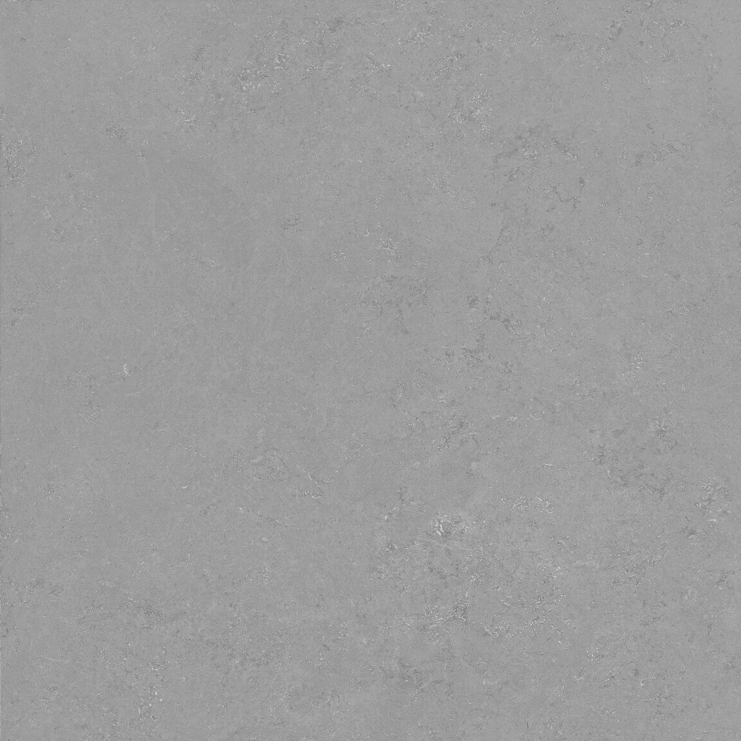 NG107 На пол Тайкан Светло-серый glossy 600x600x9 - фото 5