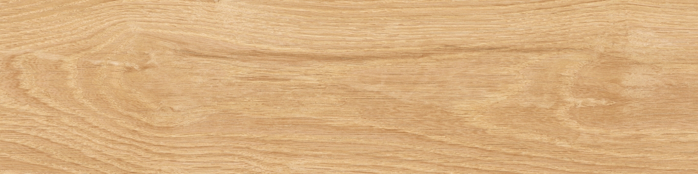 KM1040G0011N На пол Аргания Бежевый матовый 9.9x40.2x0.8 - фото 16