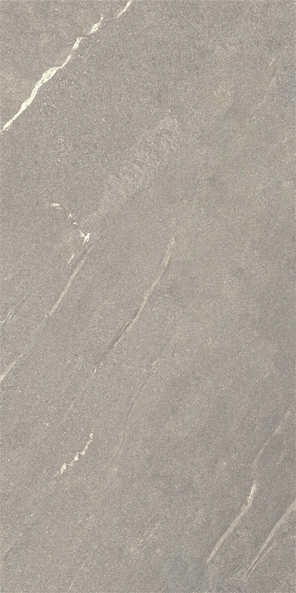 P14507.6 На пол Tiger Matt Grey Rect 60x120 - фото 5