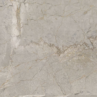 2A52 На пол Elements Lux Silver Grey Lappato RT 120x120 - фото 5