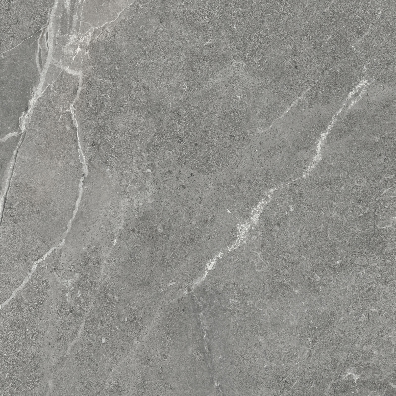 GP6060TIA05M На пол Titanium Gris матовый 600x600x9.5 - фото 8