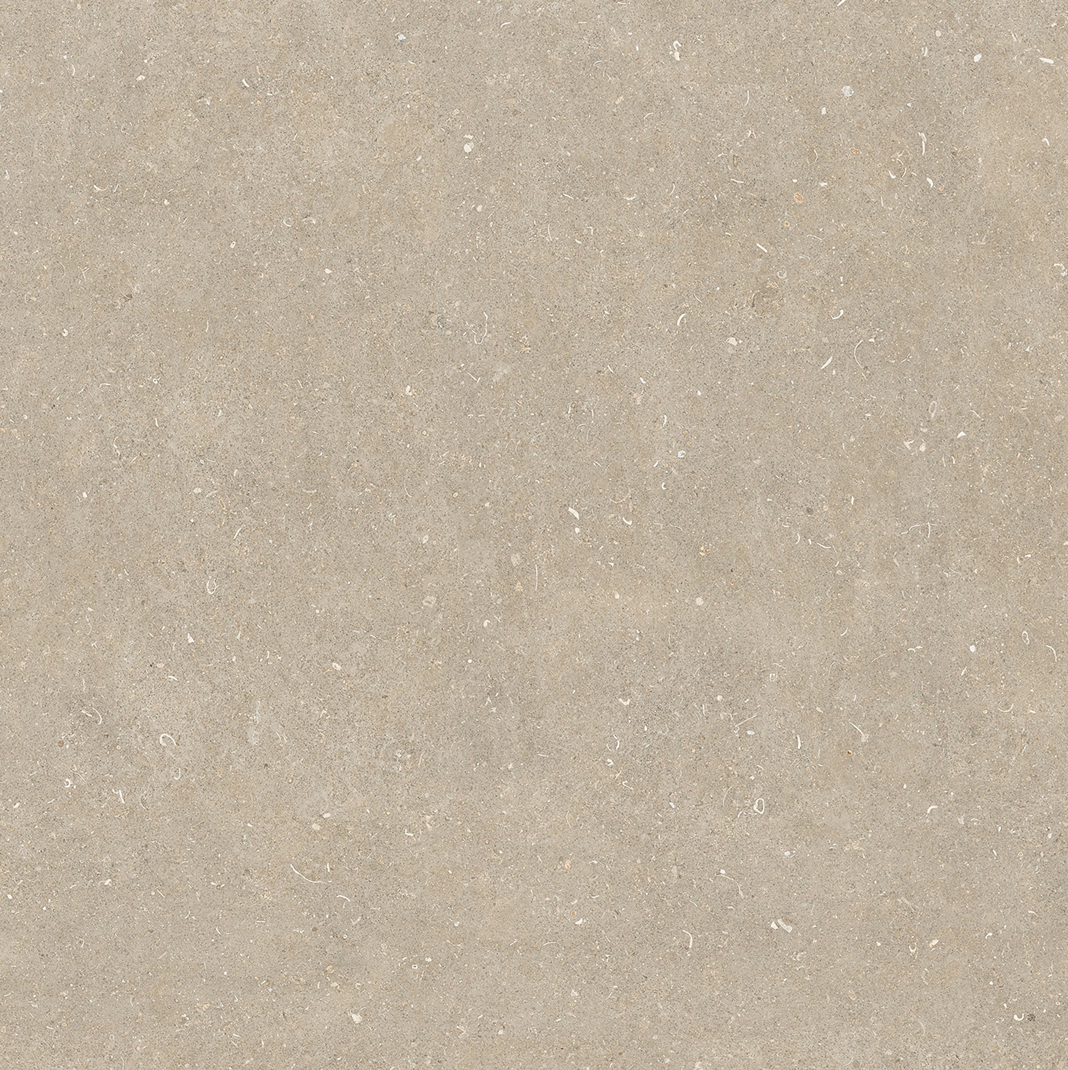 785579 На пол Rinascenza Arena Conchiglia Matte 6mm 120x120 - фото 6