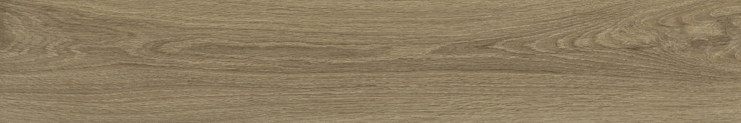 WD106  На пол Branch Taupe 20x120 - фото 6