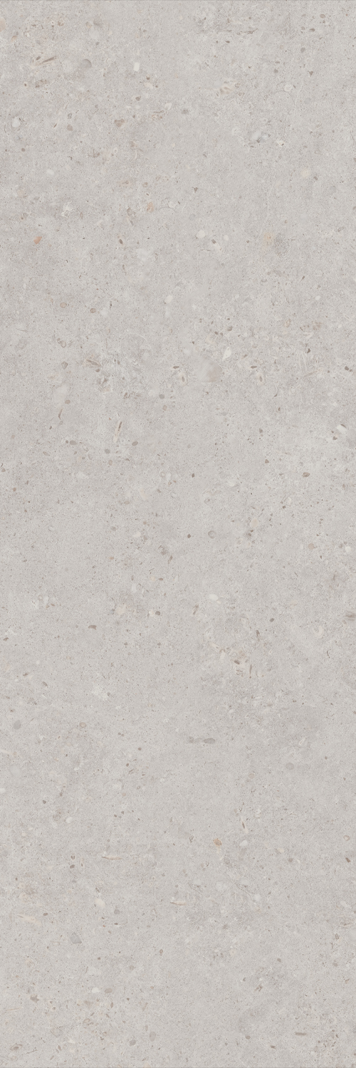 14053R На стену Риккарди Серый Светлый Матовый Обрезной 40x120