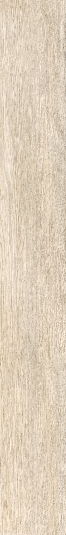 610010002769 На пол Eternum Acero Ret 20x160 - фото 6