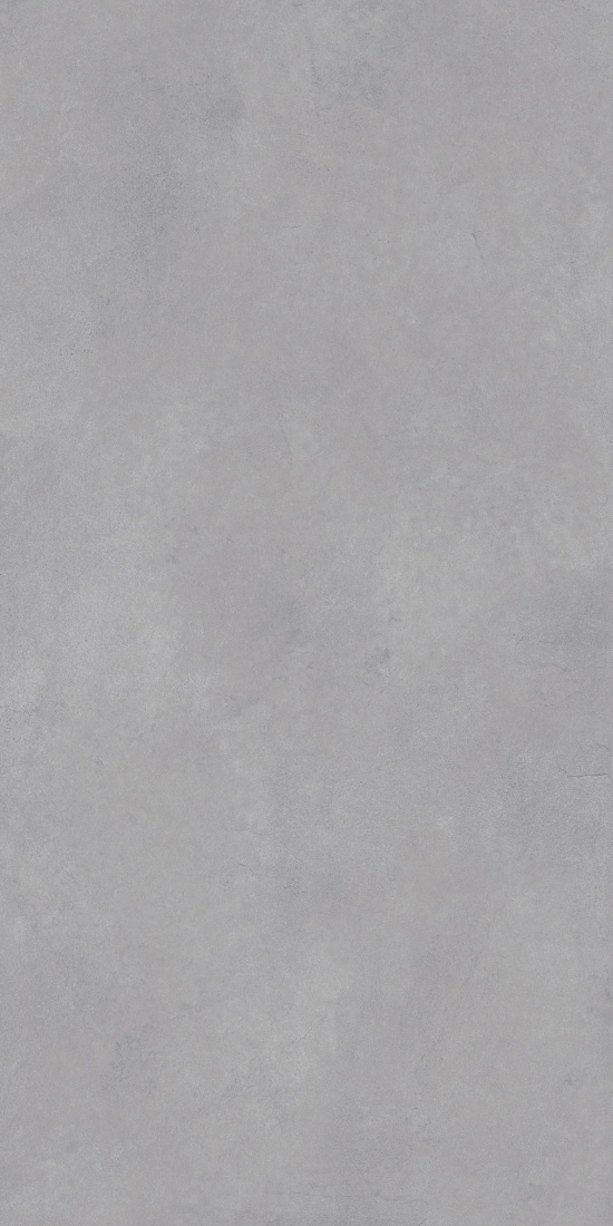 На пол Leonessa Silver Matt 60x120