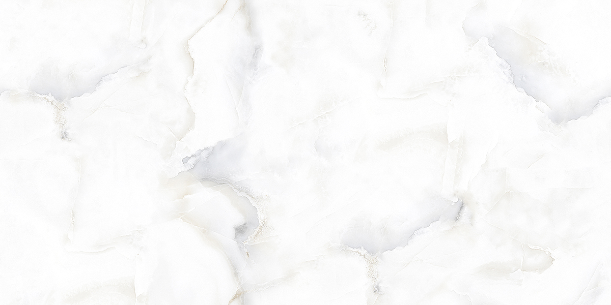 PRO 1149G На пол Dove Onix Gloss 1200x600 - фото 5