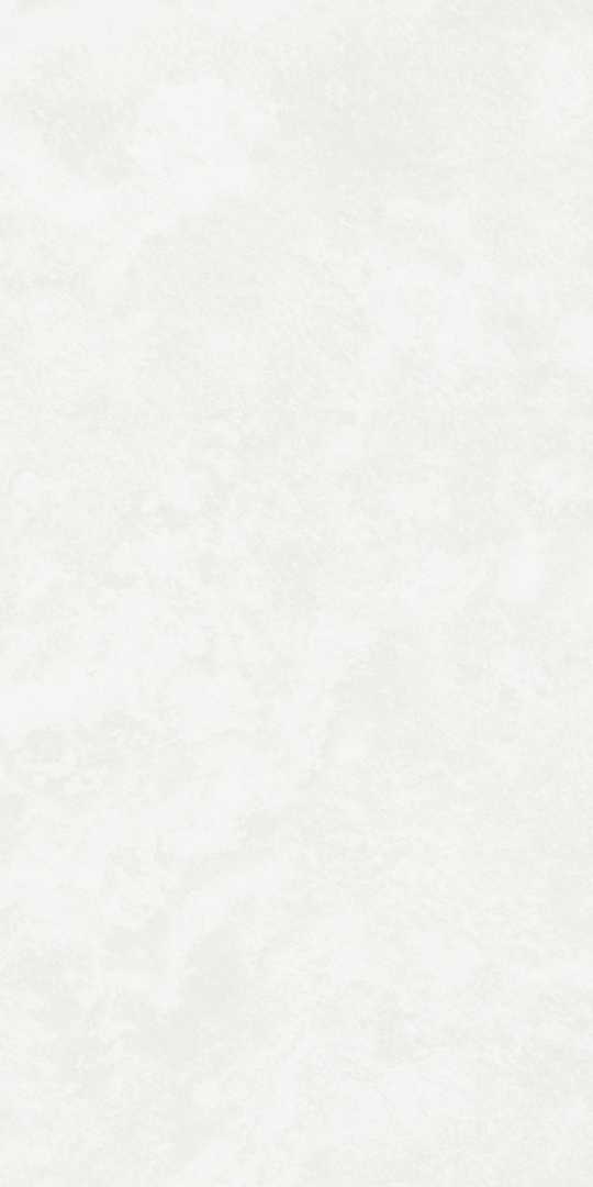 K-701/MR/300x600x9 На пол Central Park White MR 300x600x9 - фото 2