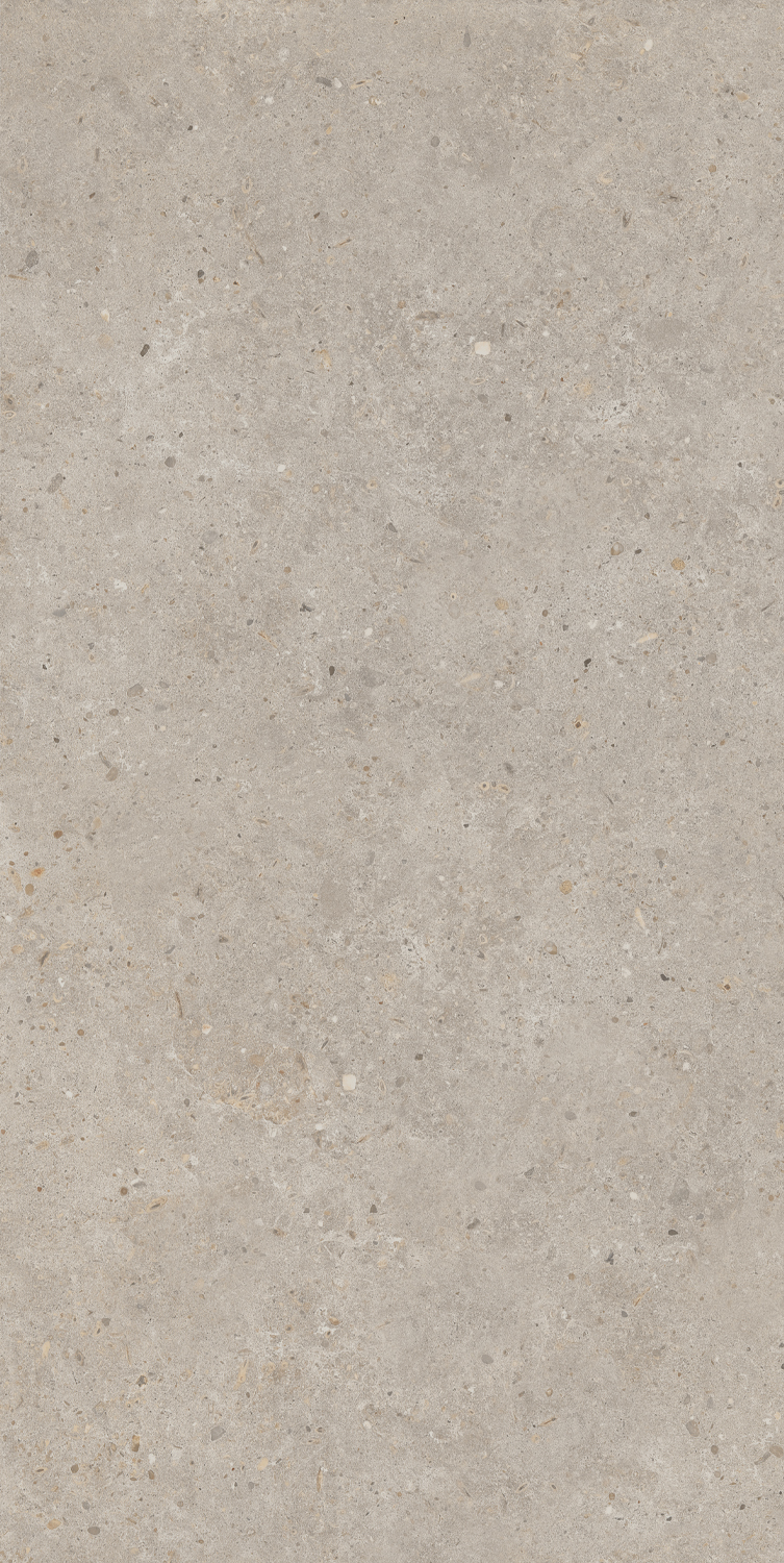 SG540620R На пол Риккарди Бежевый Матовый Обрезной 60x119.5 - фото 6