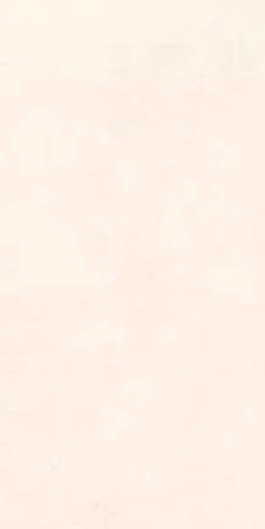 00-00109734 На стену Orion Light 31.5x63 - фото 3