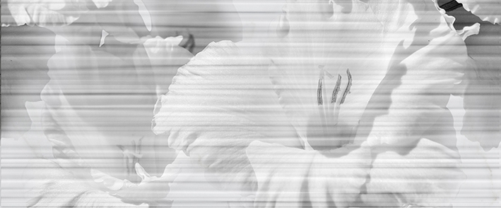 010300000090 Панно Celia White 01 P - фото 2