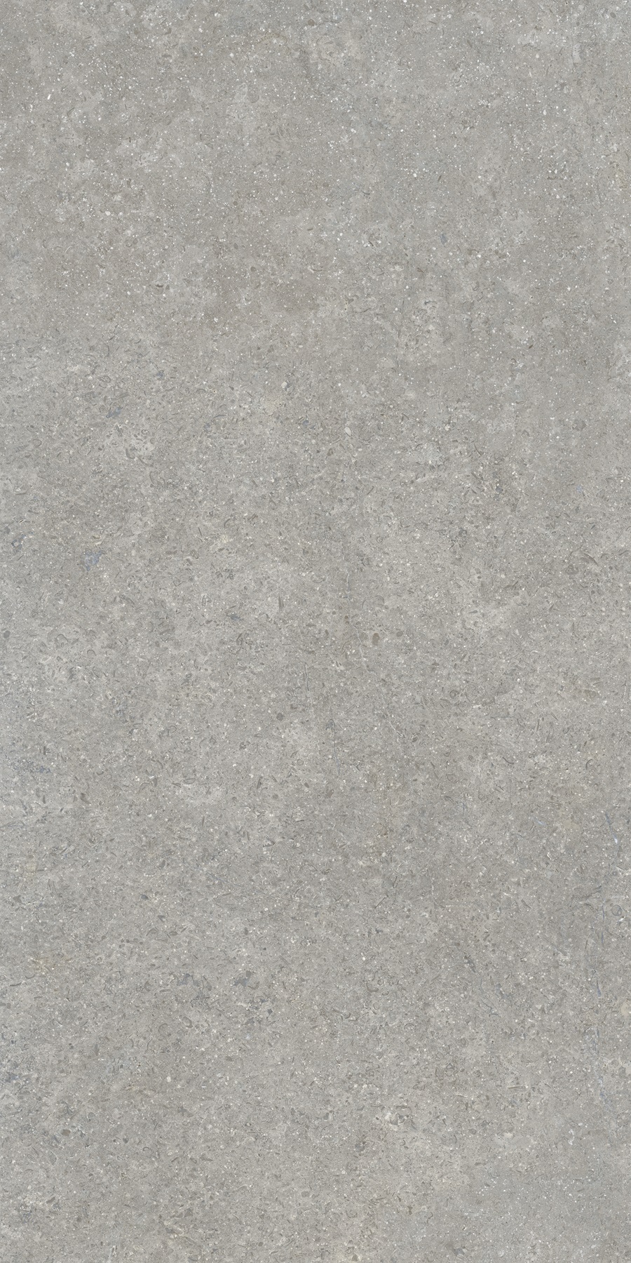 K948634R0001VTER На пол SandStone Серый Матовый R10A Ректификат 60х120