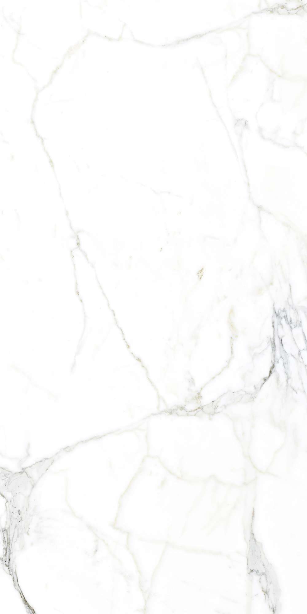 FP1002-A На пол Luce Statuario Full Polished 60x120