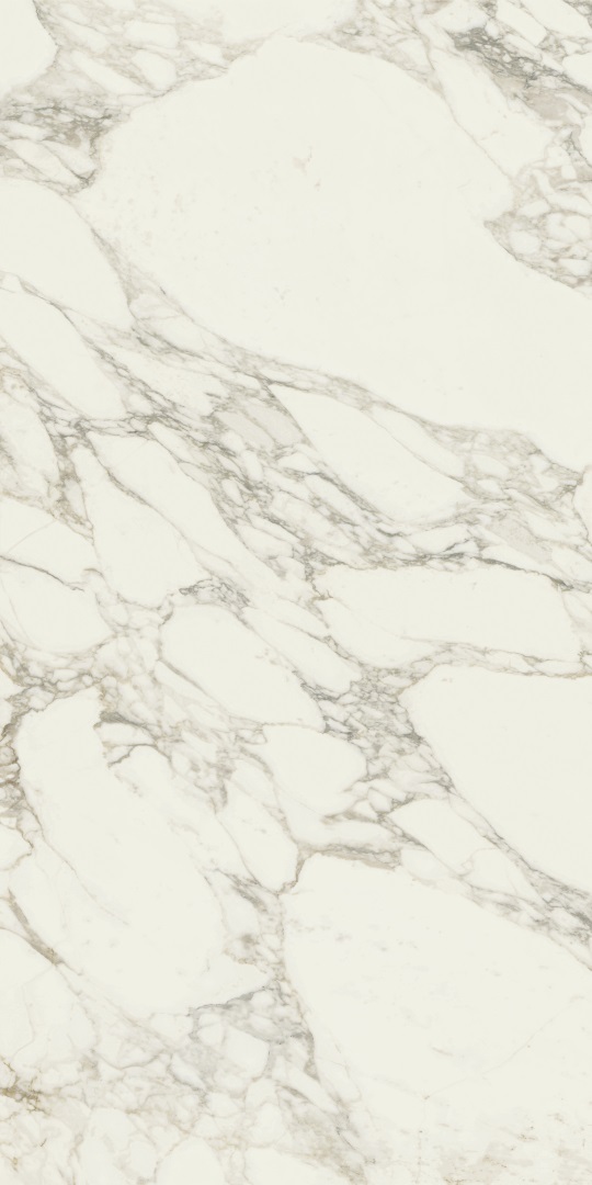 610010001921 На пол Charme Deluxe Arabescato White 80x160 - фото 2