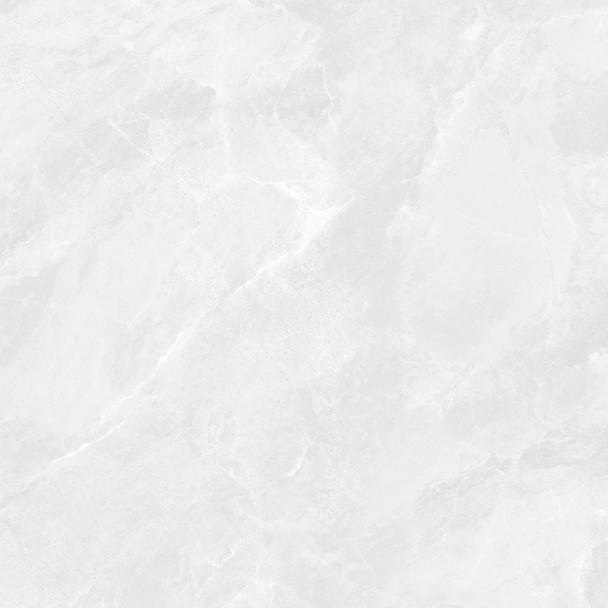 CR6060G0391R На пол Regnum Bianco светло-серый матовый 59.5х59.5 - фото 3