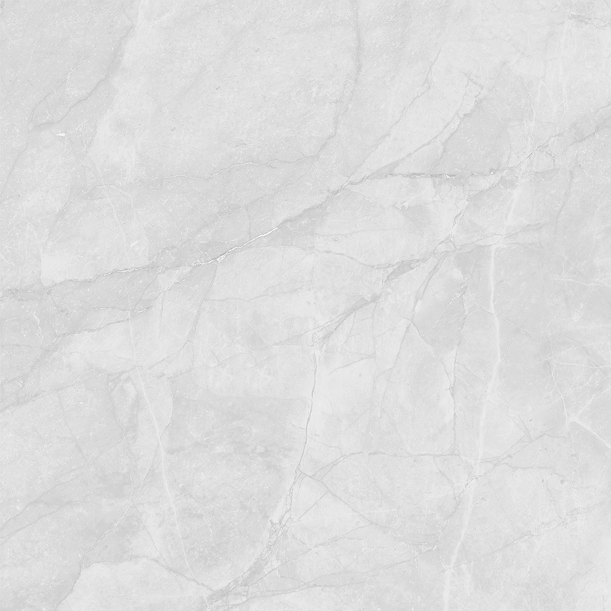 LP6060G0241R На пол Berna Silver светло-серый матовый 59.5х59.5 - фото 15