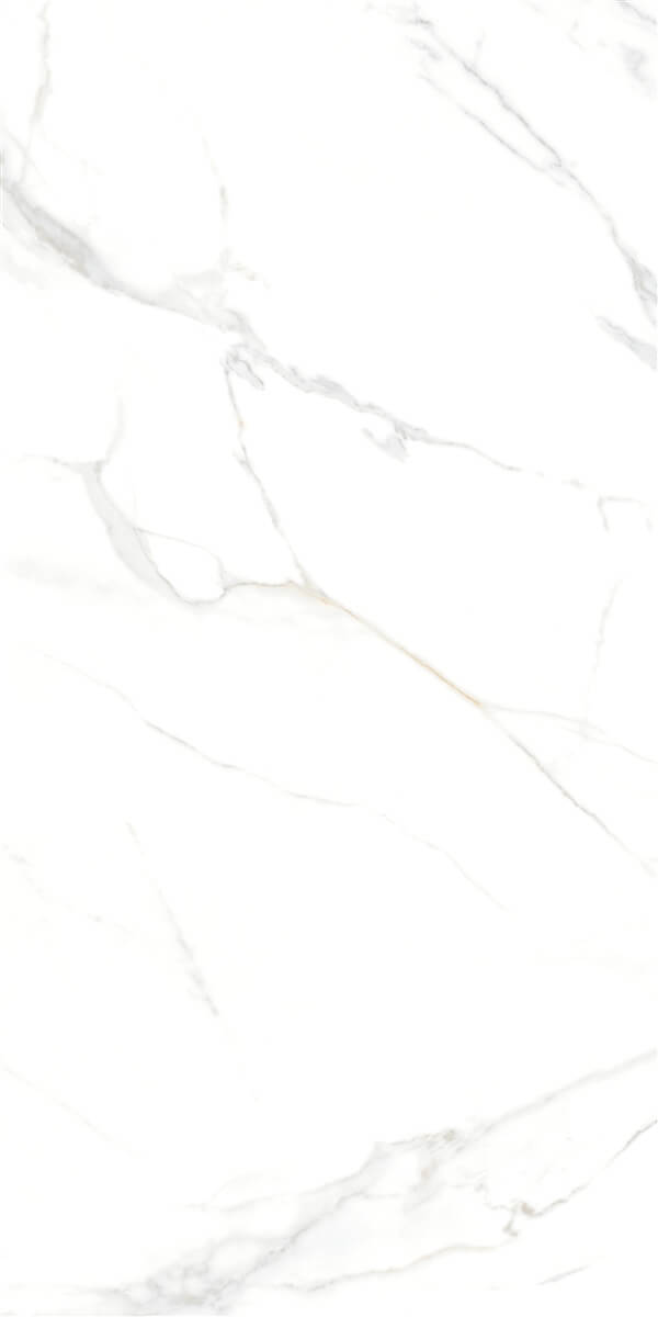 P15006.6 Напольный Royal Marble White Plsh Rc.Por.Tl Глазурованный - фото 4