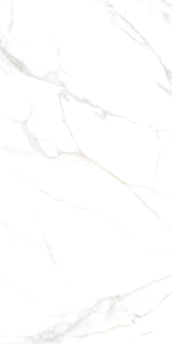 P15006.6 На пол Royal Marble White Polished Rect 60x120 - фото 4