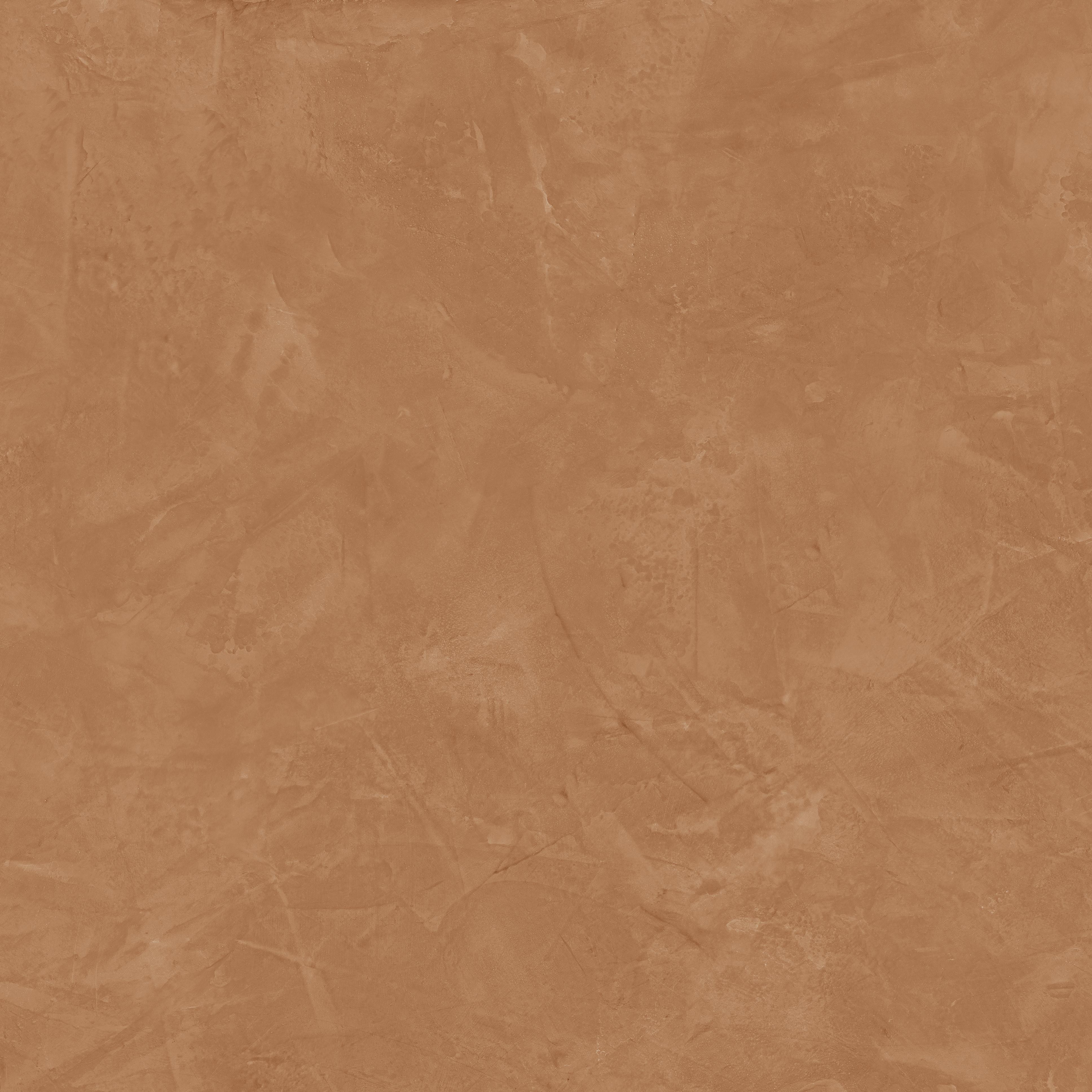 610015000565 На пол Thesis Senape Lap