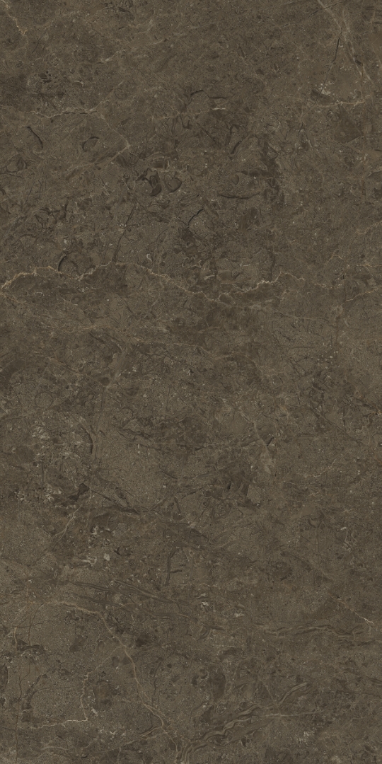 PT12F7039 На пол Neapol Brown Matt 1200х600х9