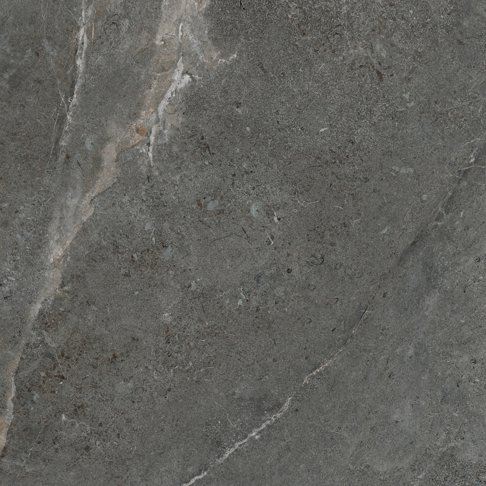 GP6060TIA25M На пол Titanium Graphite матовый 600x600x9.5 - фото 11