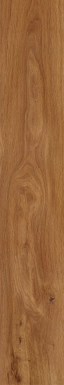 FR01 На пол Forest Amber неполированный 19.4х120