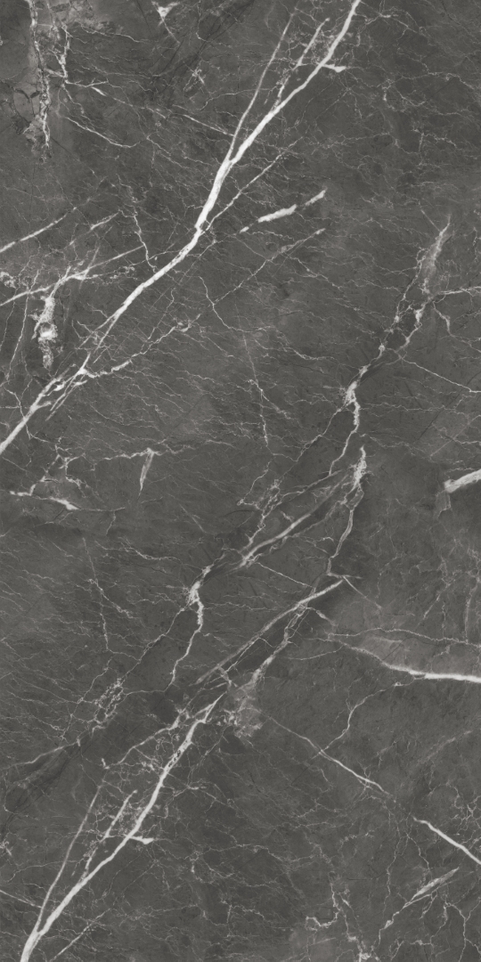 GT1206019809MHRR На пол Oscar Темно-серый матовый 60x120 - фото 8