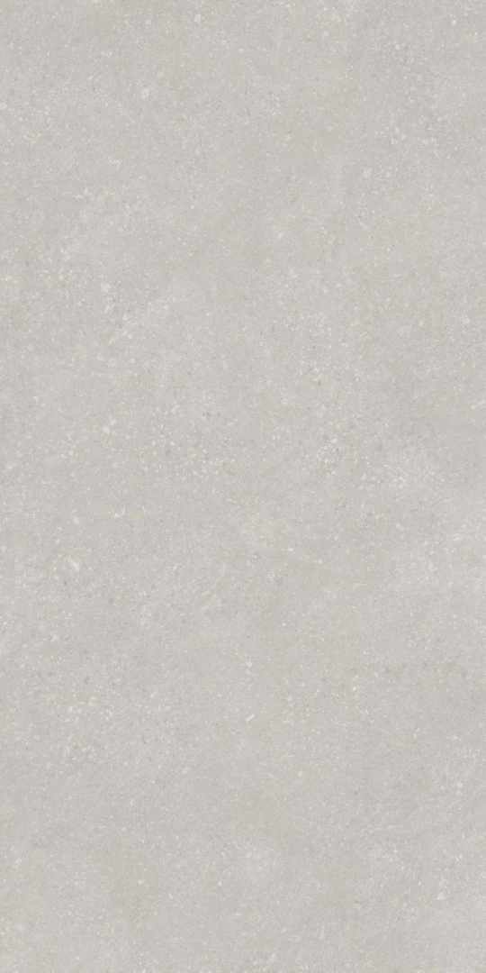 PT12F7048 На пол Pietra Light Grey Matt 1200х600х9