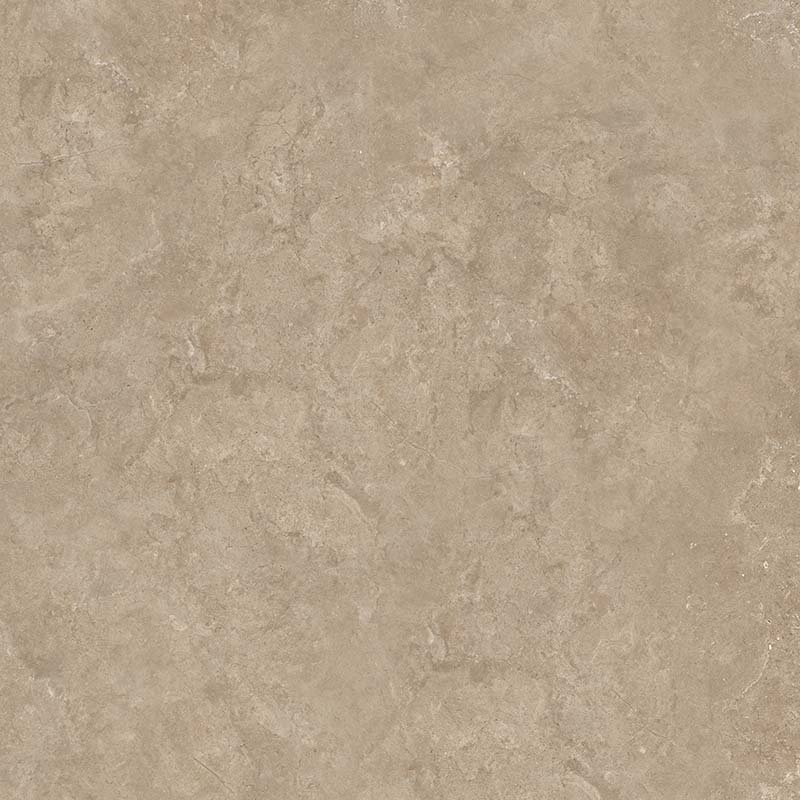 8167 На пол Shell BG 60х60 - фото 3