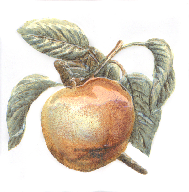 TFA009 Декор Оранжерея Яблоко