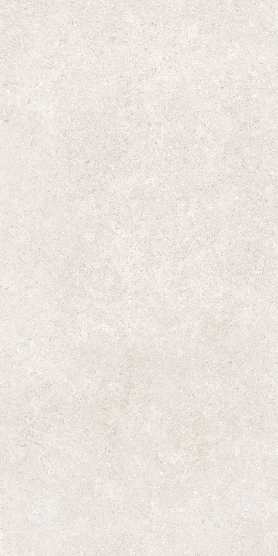 K948597R0001VTER На пол SandStone Белый Матовый R10A Ректификат 60х120 - фото 4