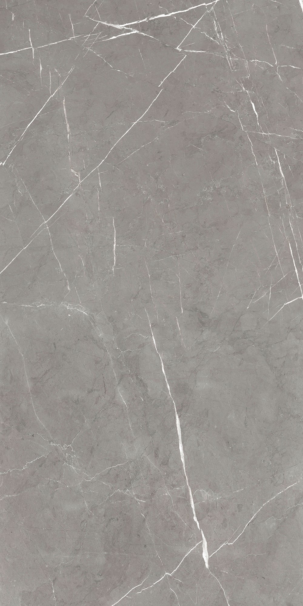 GT120603001SPR На пол Encanto Серый Soft Sugar 60x120 - фото 2