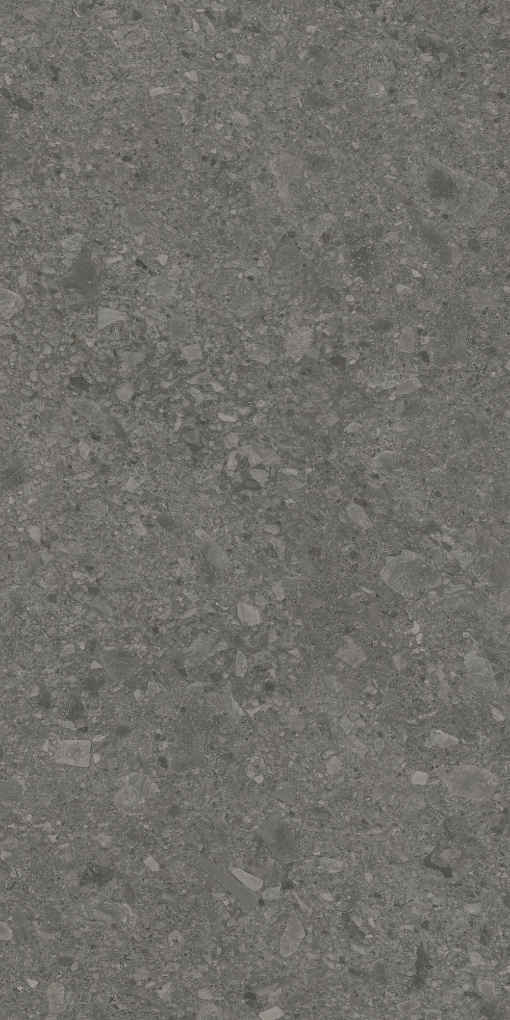 DD591600R На пол Чеппо ди Гре Антрацит матовый обрезной 119.5x238.5x1.1 - фото 6