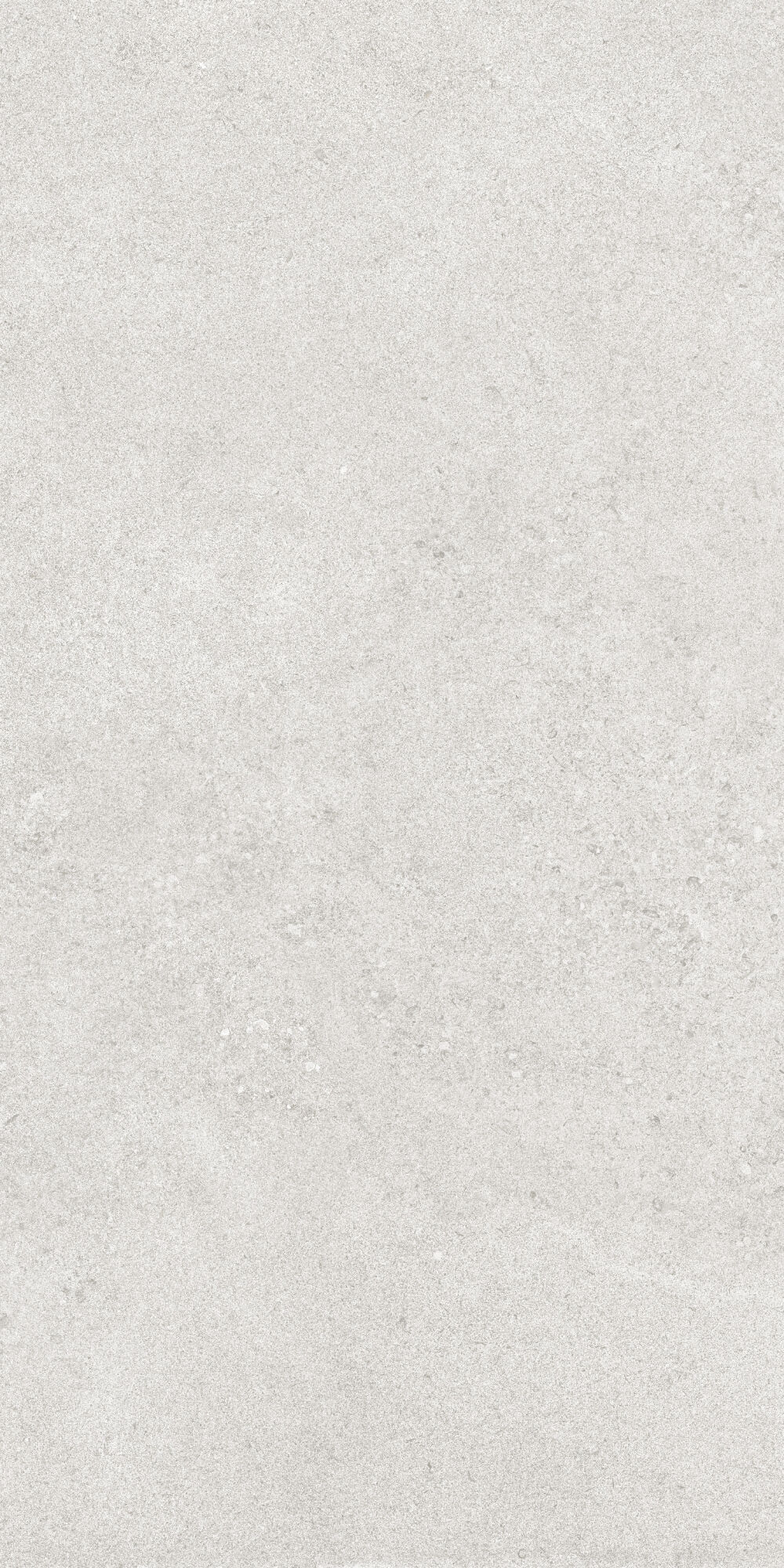 36904 На пол Cluny Silver 4D/50X100X2/A/R 50x100 - фото 21